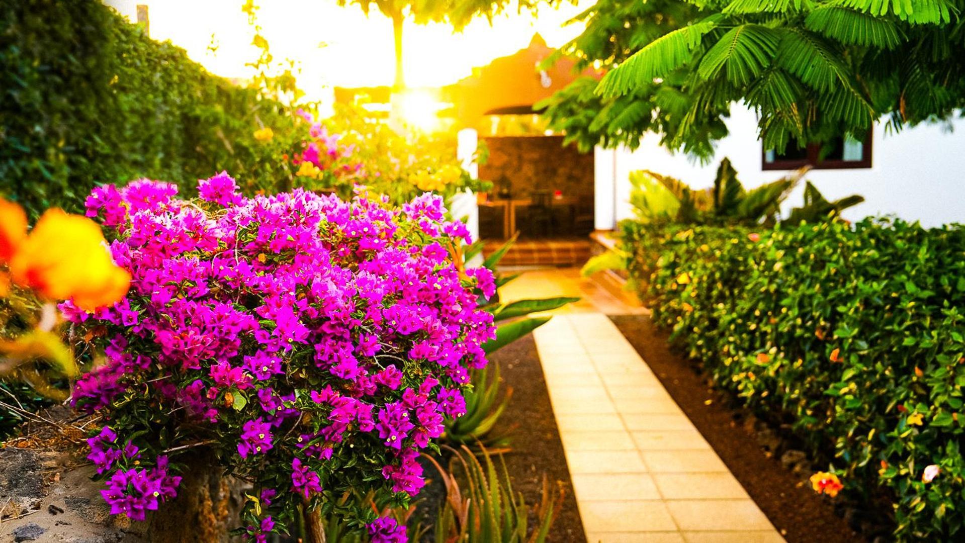 Villa Azul Fuerteventura Villaverde  Экстерьер фото
